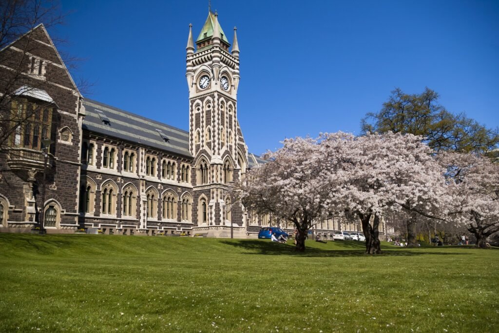 scholarships in new zealand educational institutions